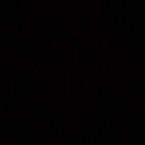 Meet your Posher, Bradley